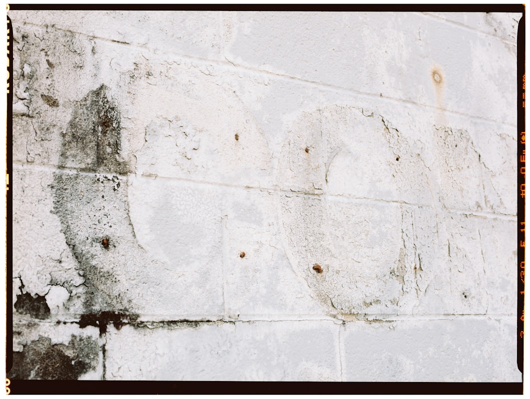 Storm Damage Repair service in Dothan, AL